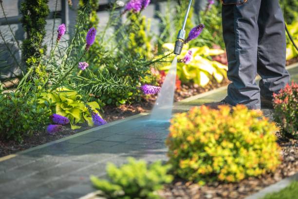 Best Dumpster Area Cleaning  in Fairmount, TN